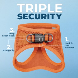 Voyager Step-in Air Cat Leash Harness Set - All Weather Mesh, Step in Vest Harness for Small and Large Cats by Best Pet Supplies - Orange, XS (Chest 13.5-15")