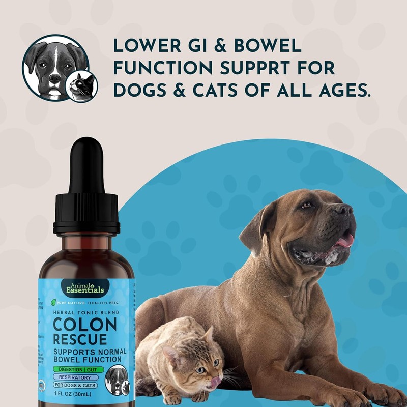 Animal Essentials Colon Rescue for Dogs & Cats - Herbal