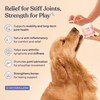 Pawfy Hip & Joint Supplement for Dogs with MSM &