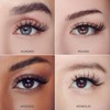 imPRESS Falsies Self Adhesive Eyelashes Refills 30 Lash Clusters -