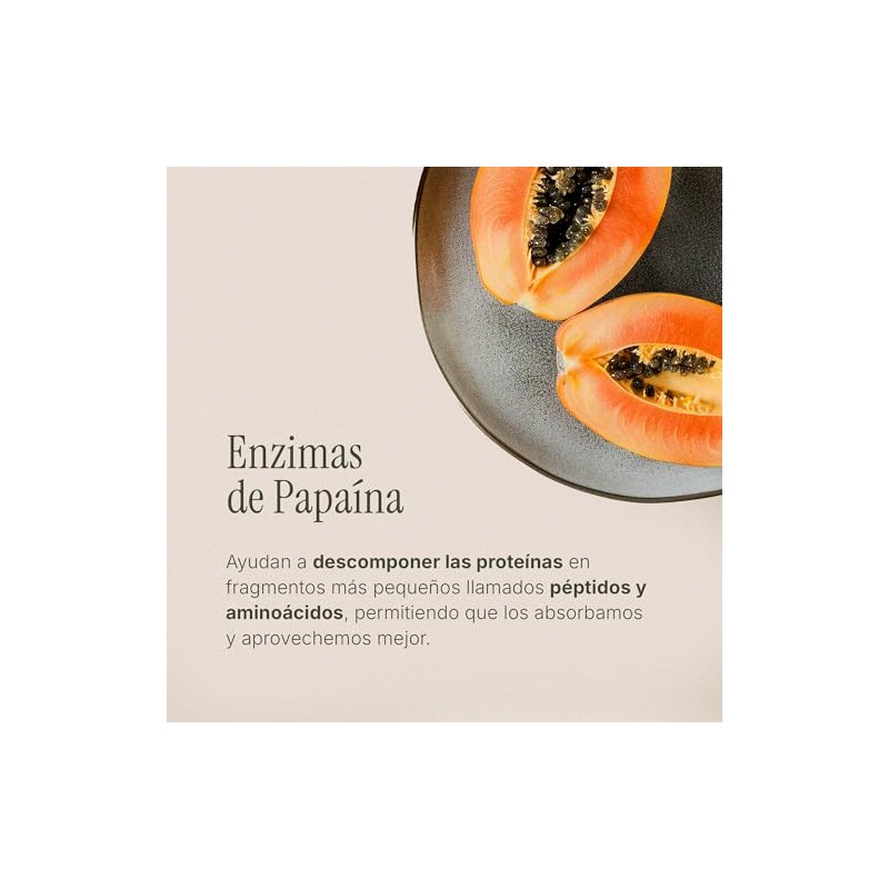 ENZIMAS DIGESTIVAS CON PREBIOTICOS - Maklen Enzimas Digestivas de Papaína