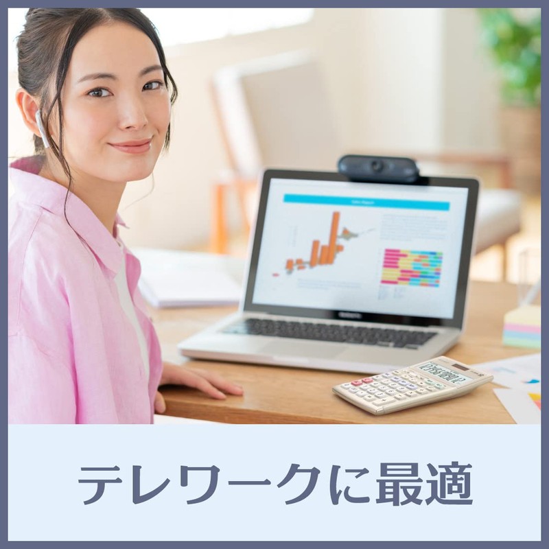 カシオ 本格実務電卓 10桁 検算機能 グリーン購入法適合 デスクタイプ DS-10WK