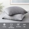 2 Pack Cooling Pillow Cases,Viscose Derived from Bamboo Pillow Protectors