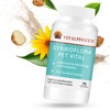 Vitalpfoten Synbioflora Pet Vital Probiotic for Dogs and Cats 75