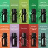 Pure Daily Care Aromatherapy Top 10 Essential Oil Set –