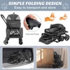 Double Dog Stroller, Foldable 3-in-1 Cat Stroller with 2 Detachable