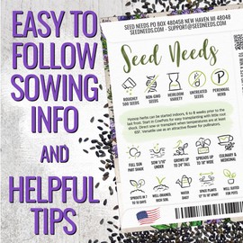 Seed Needs Hyssop Seeds for Planting Blue Hyssop Herbs - Non-GMO Heirloom & Untreated Hyssopus officinalis Seed to Plant an Indoor/Outdoor Medicinal Herb Garden (5 Packs)