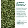 Hidrolato De Té Verde Facial Orgánico 5 L