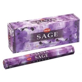 HEM Go Away Evil Incense Sticks Pack of 6