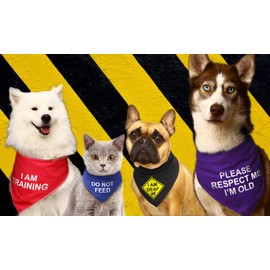Spoilt Rotten Pets Black S3 'Assistance Dog' Alert Help Dog Carer Message Dog Scarf Bandana (S3 Medium Dogs, Labs, Staffies & Springers)