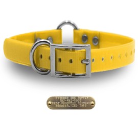 Outdoor Dog Supply 1" Heavy Duty Waterproof D-Ring & Center O-Ring Dog Collar for Medium & Large Dogs | Custom 3/4" Brass Nameplate (School Bus Yellow, 18")