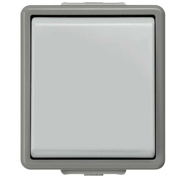 BJC Delta Delta Surface Switch IP44