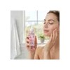 Garnier Soothing Facial Mist Agua De Rosas 130ml