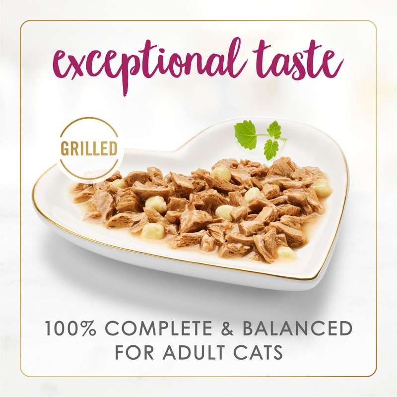 Purina Fancy Feast Delights With Cheddar Grilled Chicken and Cheddar
