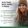 Mullein Lung Detox - Mullein Leaf 10:1 Extract - Marshmallow