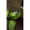 Miracle LED Modular Grow Solutions 3-Step Life Cycle Indoor Grow