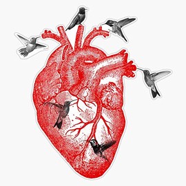 Anatomical Heart And Hummingbirds Vinyl Waterproof Sticker Decal Car Laptop Wall Window Bumper Sticker 5"
