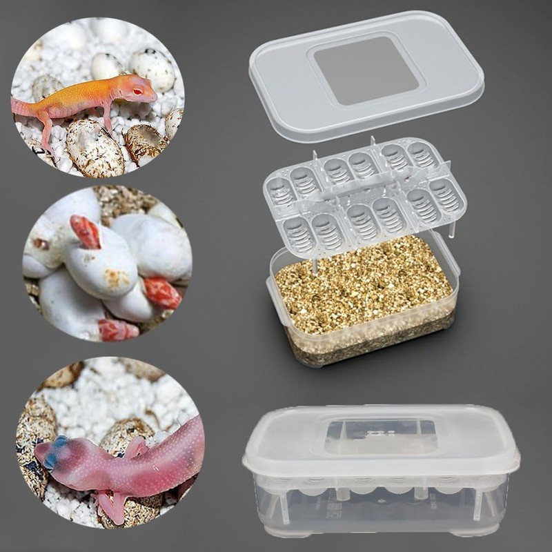 Esforzarse Reptile Breeding Box, Snake Incubator, 12 Grids, Reptile Breeding