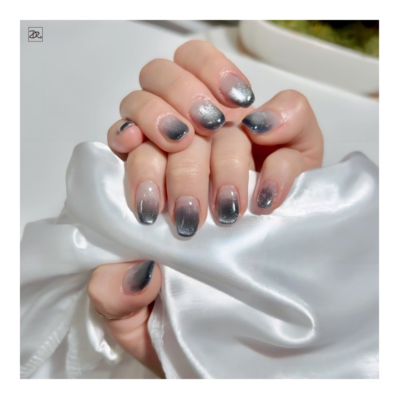 Dara Beauty December Art of the MonthMagnetic Gel Gradient❣ -