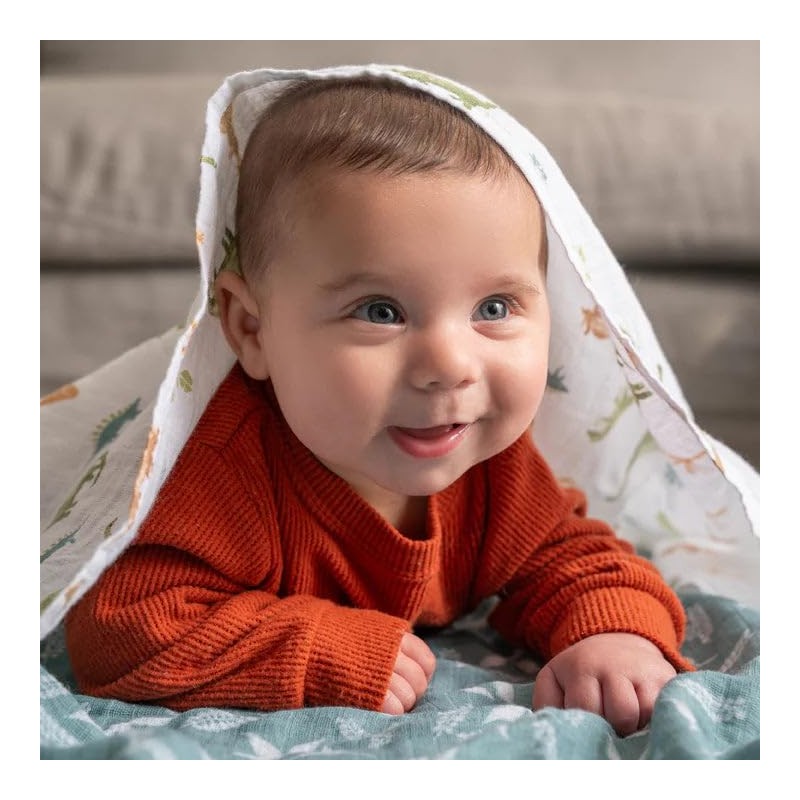aden + anais™ essentials cotton muslin 2 pack swaddle blanket