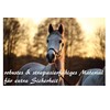 Pferdelinis Lead Rope for Horse - Equestrian Accessories, 7.87 Feet,