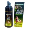 Shampoo Tinte Ginsen & Caballada Acelerador Color Castaño