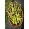Seeds Green Asparagus Sparrow Grass Heirloom Vegetable for Planting Non