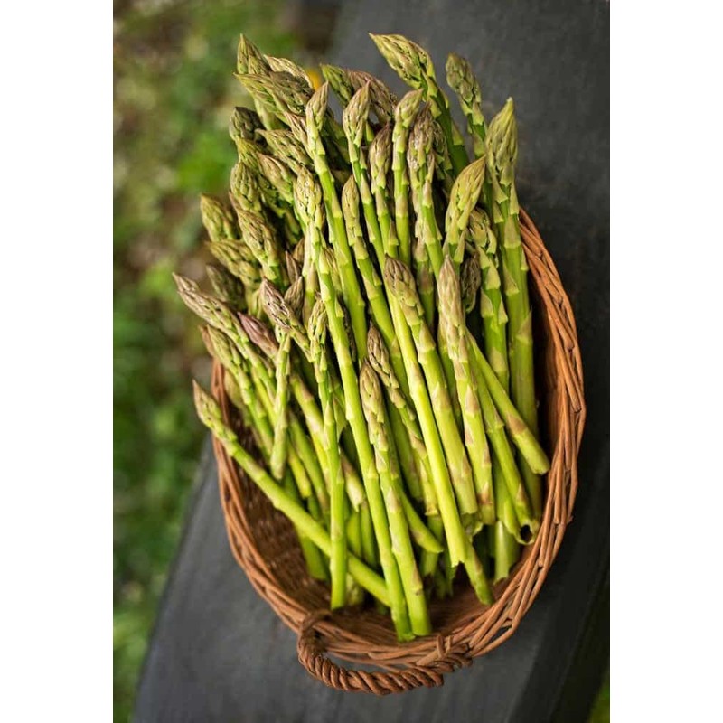 Seeds Green Asparagus Sparrow Grass Heirloom Vegetable for Planting Non