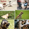 Darkyazi Durable Pinch Collar Stainless Steel Dog Adjustable Pet Training