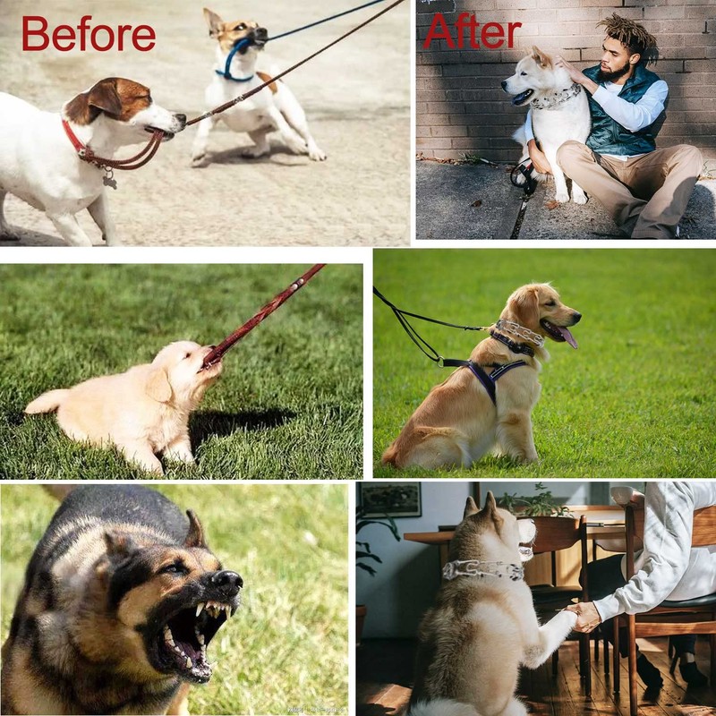 Darkyazi Durable Pinch Collar Stainless Steel Dog Adjustable Pet Training