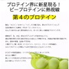 賞味期限6ケ月保障 ボタニカル ピープロテイン 2㎏（1㎏×2袋） 無添加 えんどう豆プロテイン ビーガン ダイエット 美容 タンパク質