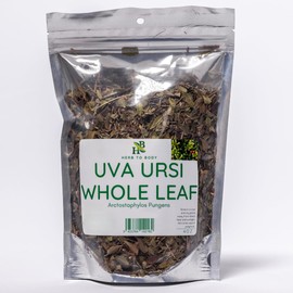 Herb To Body Uva Ursi Herb Leaves Whole - 4oz, Wildcrafted Arctostaphylos Pungens, Herbal Tea Loose Leaf for Uva Ursi Tea, Tinctures, Extracts, and Traditional Preparations