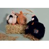 Histoire d'ours - Black Chicken Plush Toy - 20 cm