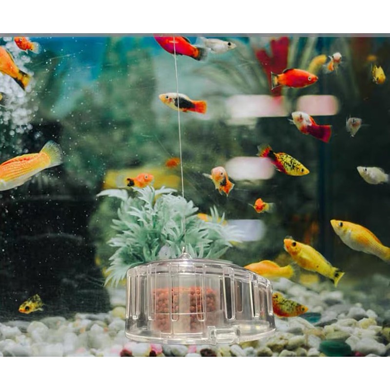 Transparent Snail Catcher, Planaria Trap, Plastic Aquarium Snail Trap for