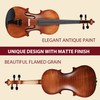 Aileen 4/4 Violin Set, Full Size Fiddle for Adults Beginners