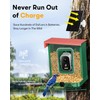 Metal Smart Bird Feeder with Camera – Solar Powered, AI