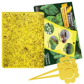 Kensizer 10-Pack Fruit Fly Trap, Yellow Sticky Gnat Trap Killer for Indoor/Outdoor Flying Plant Insect Like Fungus Gnat, Whiteflies, Aphids, Leaf Miners - 6x8 in, Twist Ties Included