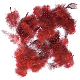 ZUCKER Feather (TM) - Loose Guinea Plumage Natural - Red