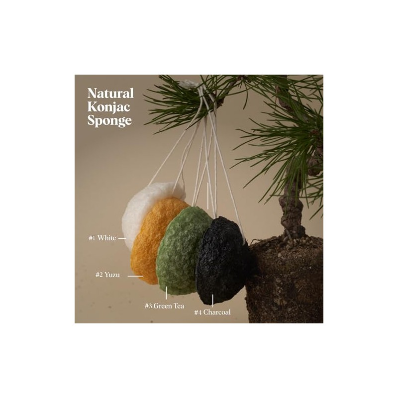 Ilem Japan Esponja Facial Natural Konjac Carbón Vegetal Unidad Paquete
