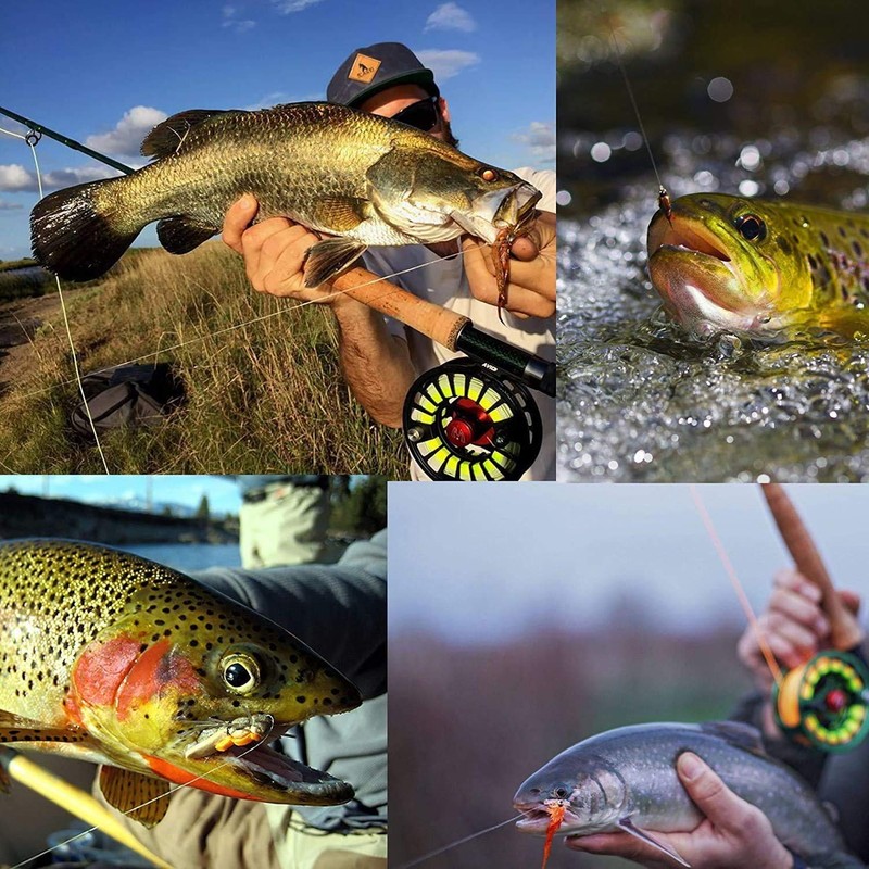 MAXIMUMCATCH Fly Fishing Pack of 10 Flies with Fly Box