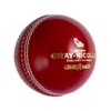 Gray-Nicolls Crest Elite Cricket Ball 5.5oz Red