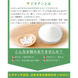 2袋 国産 ビオチン（90粒）1粒250mg中ビオチン480ug配合