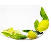 Handmade Lemon Italian Ceramic Oval Platter, Serving Platter 34 cm