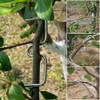 Pack of 25 Branch Separators for Fruit Trees, M-Shaped Branch