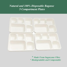 Be4Ever Sugarcane Bagasse 5 Compartment Plates Rigid & Durable Divided Disposable Plates for Hot, Cold, Wet & Oily Food Portion Control Plates Eco-Friendly (5 Compartment (Pack of 25))