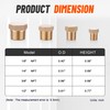 Ailbiuko 24 PCS Brass Hex Pipe Plug Fittings Kits 1/8"
