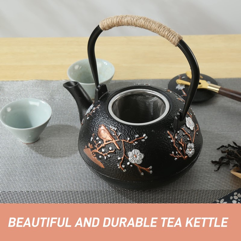 Cast Iron Teapot SECHUDO Teapot for Stovetop Safe Coated with