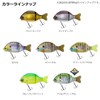 Daiwa Gradient 147F Bass Lure