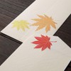 Midori 87182006 Autumn Letter Silk Fall Leaves Envelopes