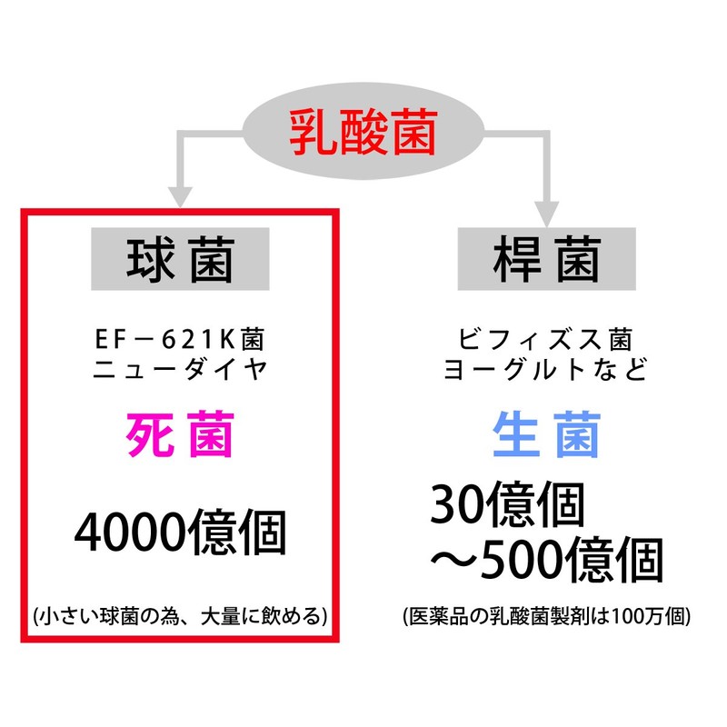New Lactic Acid Bacteria "New Diamond" (EF-621K Bacteria) / 2